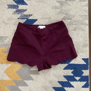 Burgundy Pedal Bottom Shorts